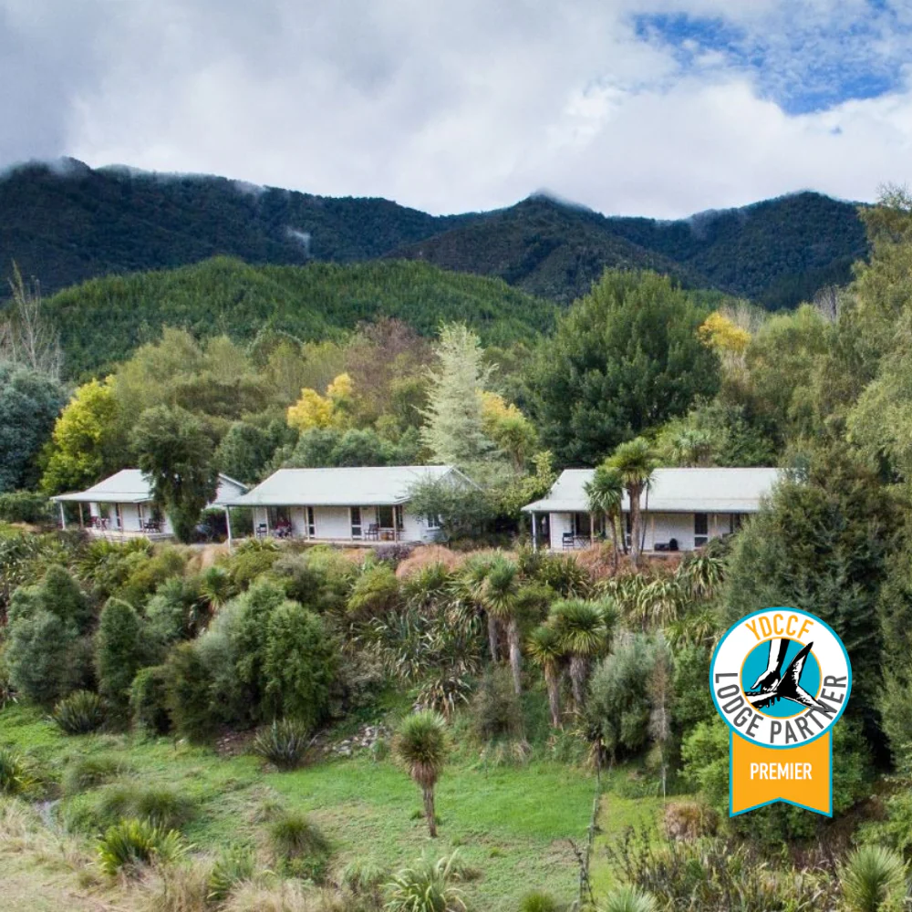 New Zealand Fly Fishing Lodges